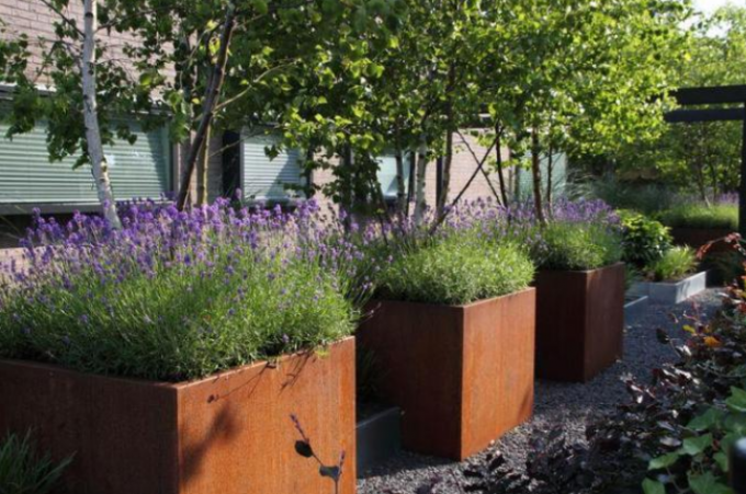 Коробки плантатора цветка Corten большого квадрата баков сада металла ржавого стальные