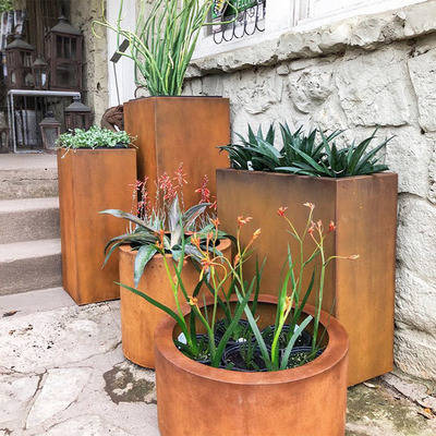 Сопротивление ссадины плантаторов Corten обслуживания ODM OEM популярное большое стальное высокорослое