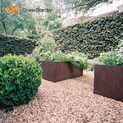 плантаторы овоща 1200*500*600mm Corten стальные заржавели коробки плантатора металла