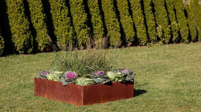 Выпушка сада Corten изготовленных на заказ на открытом воздухе плантаторов коробки сада металла плантаторов цветочного горшка больших больших стальная